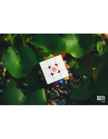Super WeiLong V2 – 18th Anniversary