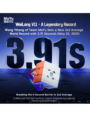 WeiLong V11
