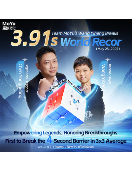 WeiLong V11